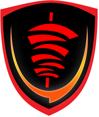 Well Done Shawarma logo